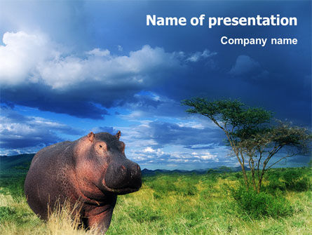 Hippopotamus PowerPoint Template, Free PowerPoint Template, 01826, Animals and Pets — PoweredTemplate.com