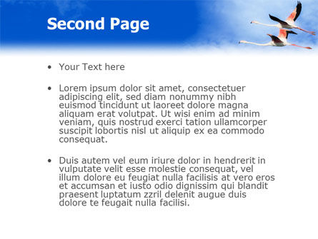 Modèle PowerPoint de flying flamingo, Diapositive 2, 01854, Nature / Environnement — PoweredTemplate.com
