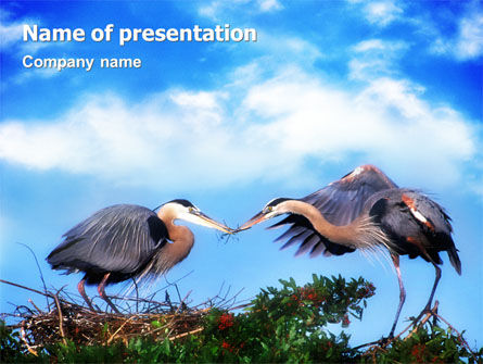 Modèle PowerPoint de nid, Gratuit Modele PowerPoint, 01876, Nature / Environnement — PoweredTemplate.com