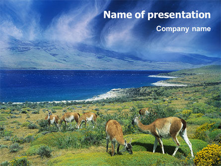 Templat PowerPoint Pampa, 01950, Binatang dan Hewan — PoweredTemplate.com
