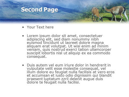 Plantilla de PowerPoint - pampa, Diapositiva 2, 01950, Animales y Mascotas — PoweredTemplate.com