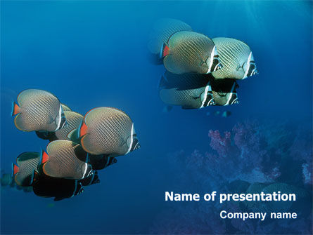 Modèle PowerPoint de pêcher la vie sous l'eau, Gratuit Modele PowerPoint, 02089, Nature / Environnement — PoweredTemplate.com