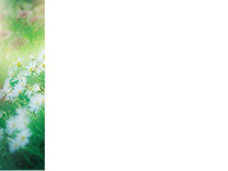 春のカモミール - PowerPointテンプレート, スライド 3, 02105, 自然＆環境 — PoweredTemplate.com