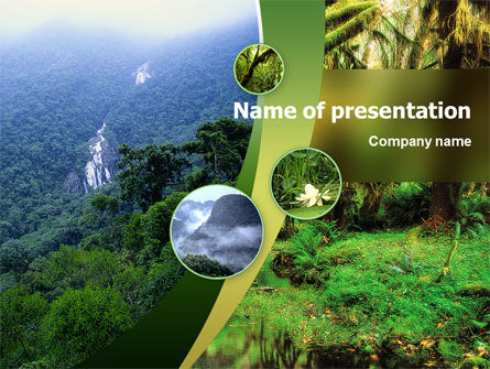 Rainforest PowerPoint Template, PowerPoint Template, 02398, Nature & Environment — PoweredTemplate.com