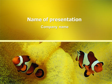 Modelo do PowerPoint - peixe tropical, Grátis Modelo do PowerPoint, 02466, Natureza e Ambiente — PoweredTemplate.com