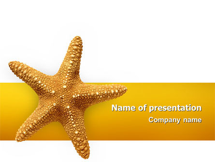 Star Fish PowerPoint Template, Free PowerPoint Template, 02556, Animals and Pets — PoweredTemplate.com
