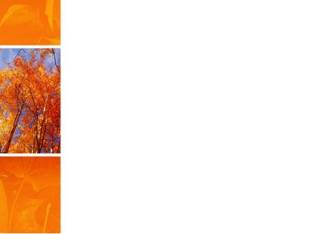 秋の森 - PowerPointテンプレート, スライド 3, 02616, 自然＆環境 — PoweredTemplate.com