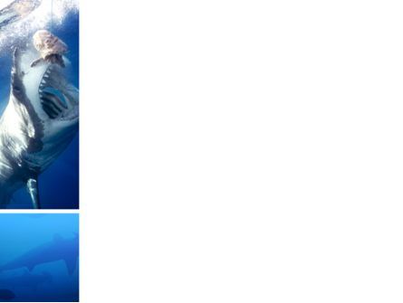 Shark Hanting PowerPoint Template, Slide 3, 02634, Animals and Pets — PoweredTemplate.com