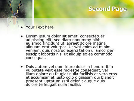 Plantilla de PowerPoint - araña, Diapositiva 2, 02704, Animales y Mascotas — PoweredTemplate.com