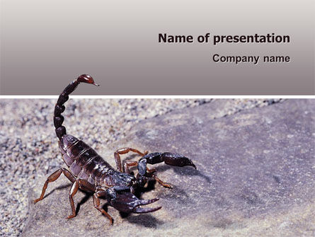 Plantilla de PowerPoint - escorpión, Gratis Plantilla de PowerPoint, 02713, Animales y Mascotas — PoweredTemplate.com