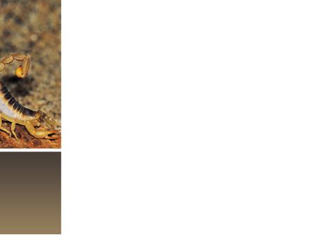 砂漠の毛深いサソリ - PowerPointテンプレート, スライド 3, 02731, 動物＆ペット — PoweredTemplate.com