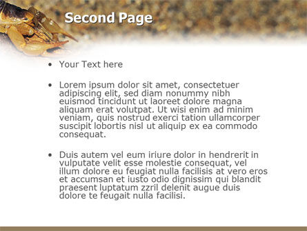 Desert Hairy Scorpion PowerPoint Template, Slide 2, 02731, Animals and Pets — PoweredTemplate.com