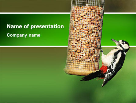 Modello PowerPoint - Mangiatoia per uccelli, Gratis Modello PowerPoint, 02796, Natura & Ambiente — PoweredTemplate.com