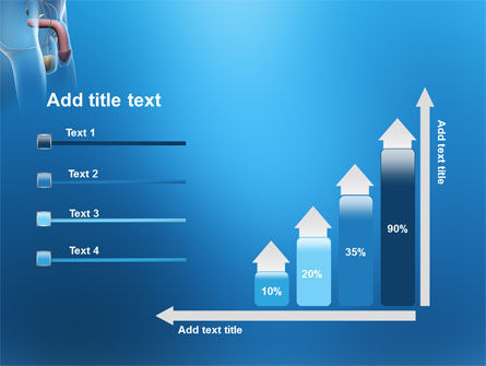 Male Reproductive Organs Powerpoint Template, Backgrounds 