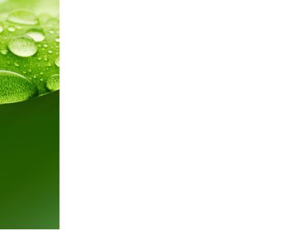 緑の葉の新鮮な露 - PowerPointテンプレート, スライド 3, 03376, 抽象／テクスチャ — PoweredTemplate.com
