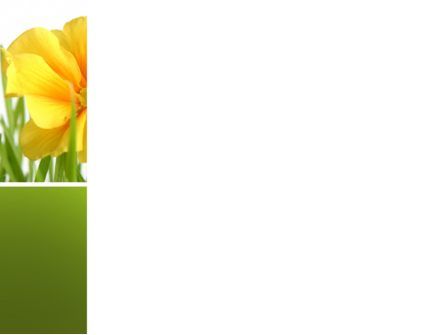 Modelo do PowerPoint - flor amarela em uma grama verde, Deslizar 3, 03427, Natureza e Ambiente — PoweredTemplate.com