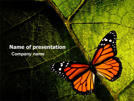Schmetterling-effekt PowerPoint Vorlage, Kostenlos PowerPoint-Vorlage, 03432, Tiere und Haustiere — PoweredTemplate.com