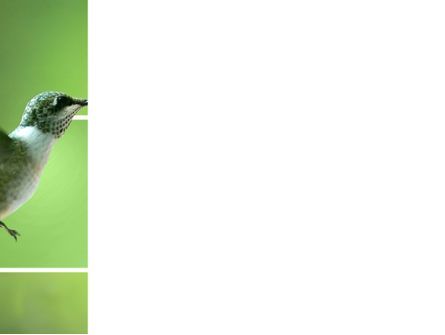 Modelo do PowerPoint - colibri, Deslizar 3, 03555, Animais e Animais Domésticos — PoweredTemplate.com