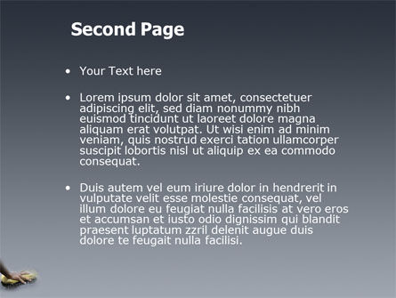 Templat PowerPoint Mencuci Mobil, Slide 2, 03576, Karier/Industri — PoweredTemplate.com