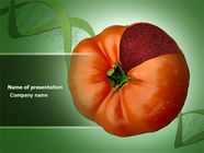 Genetically Modified Foods PowerPoint Template