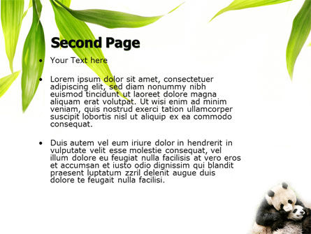 Panda PowerPoint Vorlage, Folie 2, 04479, Tiere und Haustiere — PoweredTemplate.com