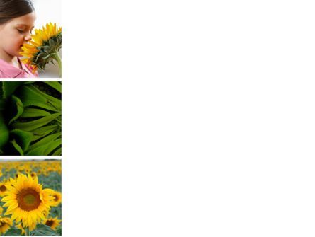 Sunflower Collage PowerPoint Template, Slide 3, 04587, Education & Training — PoweredTemplate.com