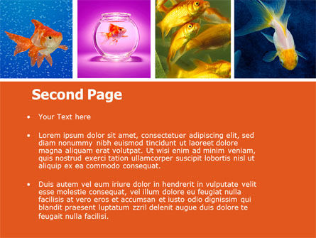 Various Goldfishes PowerPoint Template, Slide 2, 04762, Animals and Pets — PoweredTemplate.com