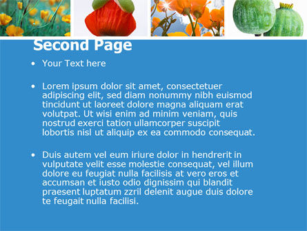 Mohn PowerPoint Vorlage, Folie 2, 04965, Natur & Umwelt — PoweredTemplate.com