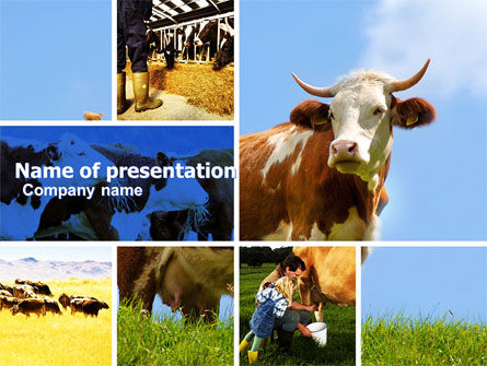 Modelo do PowerPoint - vaca, Modelo do PowerPoint, 04991, Agricultura — PoweredTemplate.com