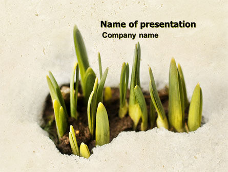 Snowdrop PowerPoint Template, 05170, Nature & Environment — PoweredTemplate.com