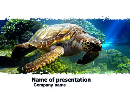 Meeresschildkröte PowerPoint Vorlage, Kostenlos PowerPoint-Vorlage, 05237, Tiere und Haustiere — PoweredTemplate.com