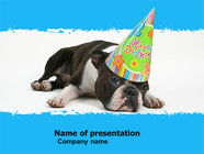 Happy Birthday Puppy PowerPoint Template