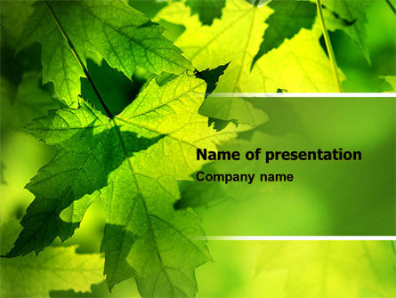 メープル - PowerPointテンプレート, 無料 PowerPointテンプレート, 05314, 自然＆環境 — PoweredTemplate.com