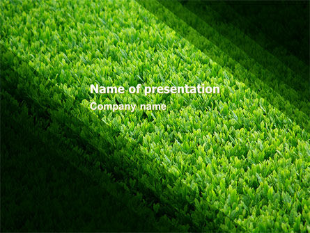 Grünes gras PowerPoint Vorlage, 05336, Natur & Umwelt — PoweredTemplate.com