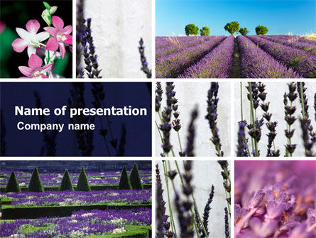 Lavendel PowerPoint Template, Gratis PowerPoint-sjabloon, 05380, Landbouw — PoweredTemplate.com