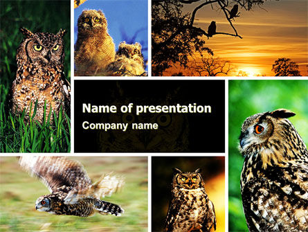 Modello PowerPoint - Gufo collage, Gratis Modello PowerPoint, 05395, Animali — PoweredTemplate.com