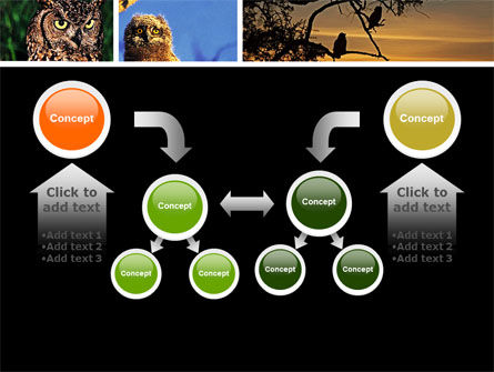 Owl Collage Point Template Backgrounds 05395 Owl Collage Point Template Slide 19 05395 Animals And Pets Edtemplate