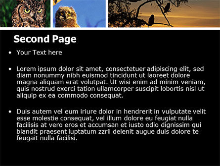 Modello PowerPoint - Gufo collage, Slide 2, 05395, Animali — PoweredTemplate.com