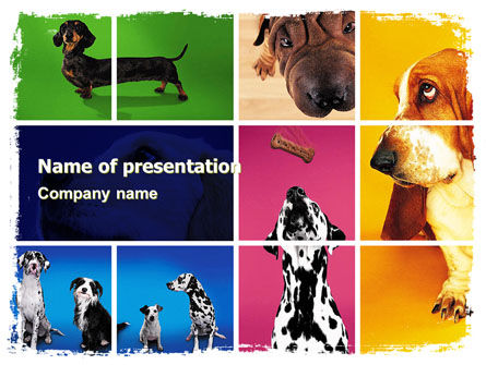 狗品种PowerPoint模板, PowerPoint模板, 05529, 动物和宠物 — PoweredTemplate.com