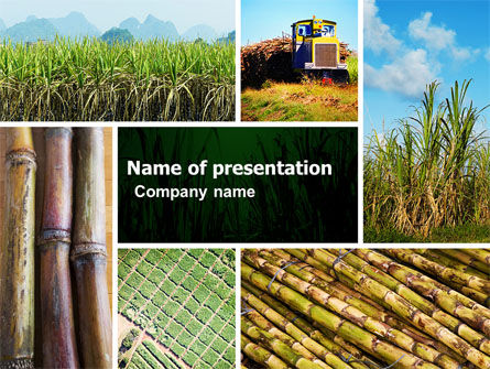 Modèle PowerPoint de canne à sucre, Gratuit Modele PowerPoint, 05770, Agriculture — PoweredTemplate.com