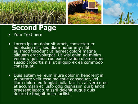 Sugar Cane PowerPoint Template, Slide 2, 05770, Agriculture — PoweredTemplate.com