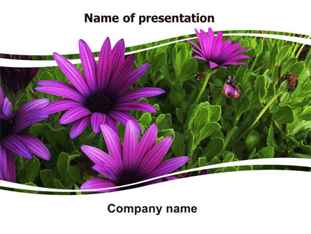 Paarse Bloemen PowerPoint Template, Gratis PowerPoint-sjabloon, 06051, Natuur & Milieu — PoweredTemplate.com