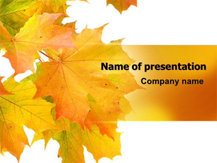 Yellow Leaves Of Maple PowerPoint Template, Free PowerPoint Template, 06166, Nature & Environment — PoweredTemplate.com