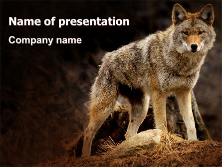Modèle PowerPoint de coyote, Modele PowerPoint, 06203, Nature / Environnement — PoweredTemplate.com