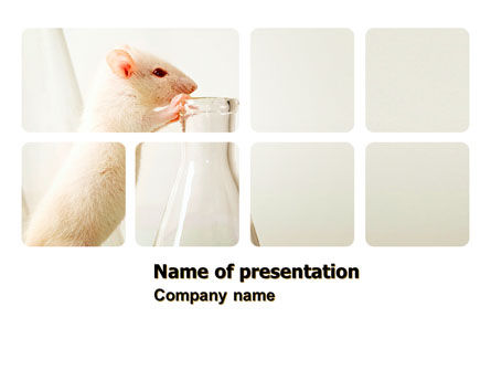 啮齿动物PowerPoint模板, 免费 PowerPoint模板, 06214, 技术与科学 — PoweredTemplate.com