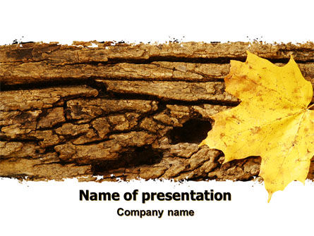Bark Free PowerPoint Template, Free PowerPoint Template, 06245, Nature & Environment — PoweredTemplate.com