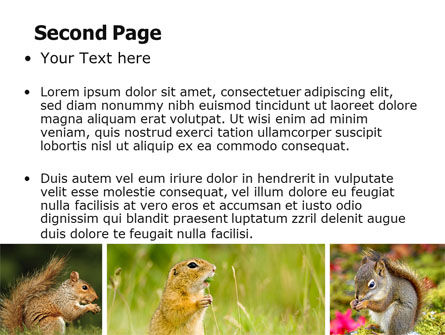 Modello PowerPoint - Scoiattolo, Slide 2, 06311, Animali — PoweredTemplate.com