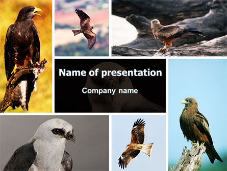 Roofvogel PowerPoint Template, Gratis PowerPoint-sjabloon, 06331, Dieren en Huisdieren — PoweredTemplate.com