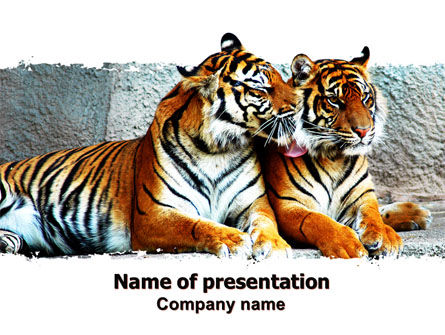 Zoo Powerpoint Templates And Google Slides Themes Backgrounds For Presentations Poweredtemplate Com