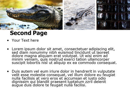 鳄鱼PowerPoint模板, 幻灯片 2, 06484, 动物和宠物 — PoweredTemplate.com